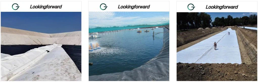 geomembrane geomembrane